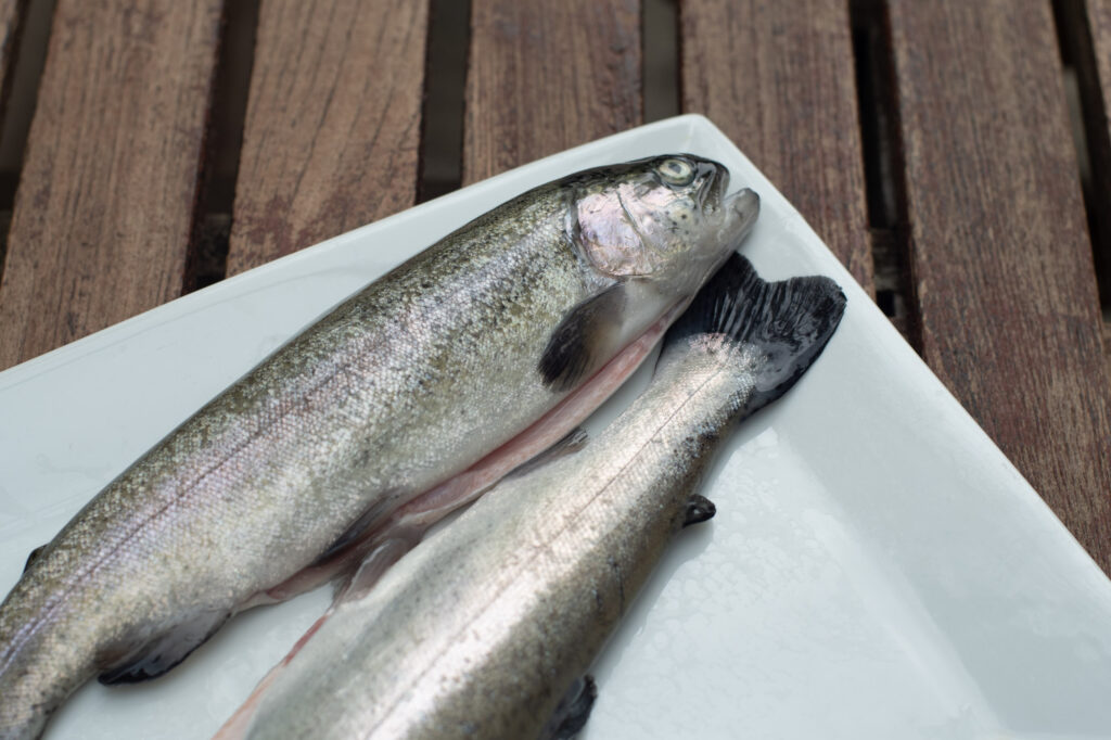la-terrasse-des-carmes-restaurant-saint-thome-ardeche-07-270